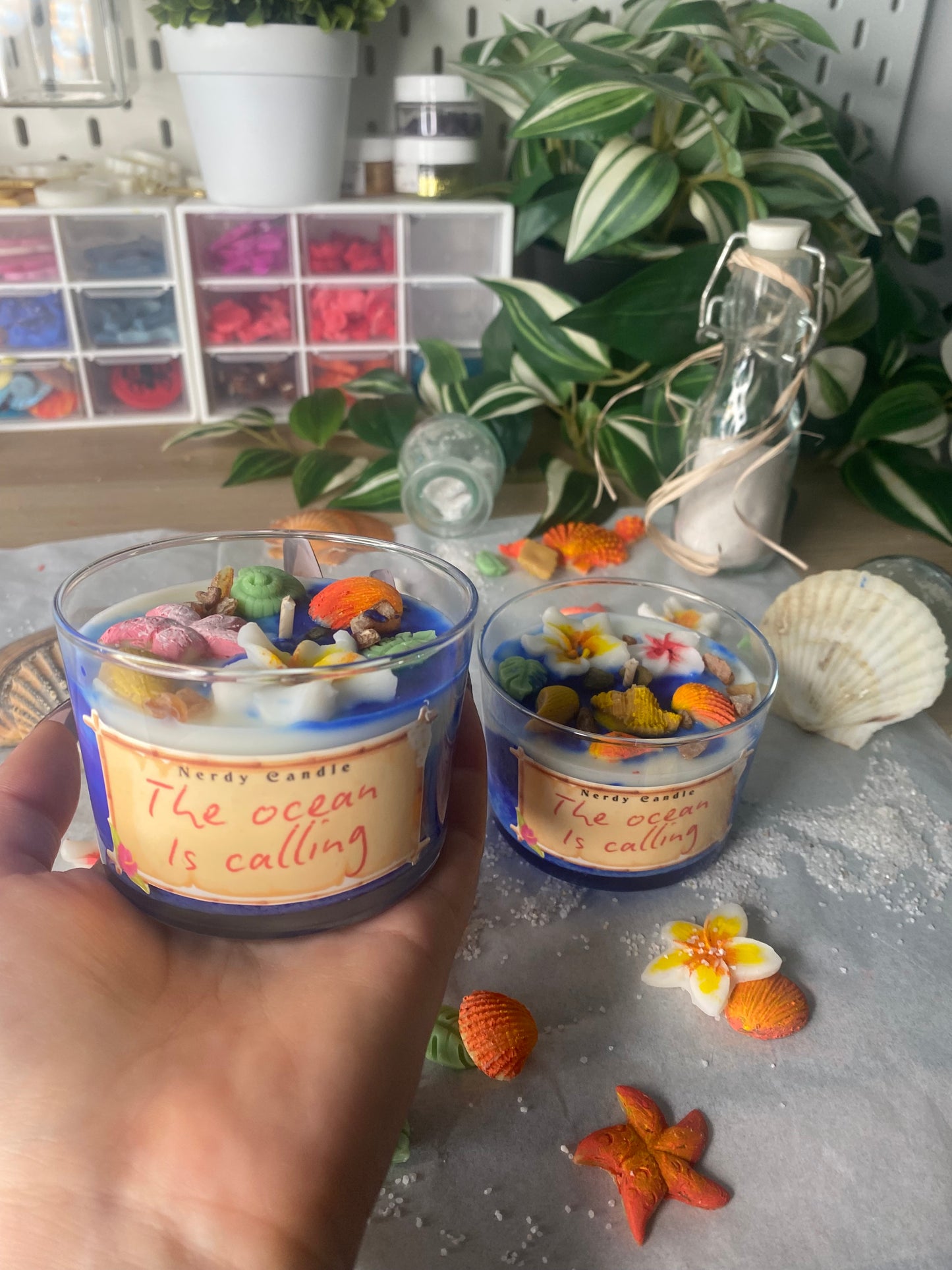 The ocean is calling