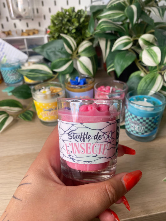Souffle de l'insecte